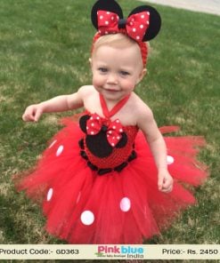 Minnie Mouse 1st Birthday Party Tutu Dress - 1 year old Tutu outfits