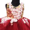 Beautiful Ombre Fairy Tail Princess Birthday Girl Gown