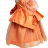 Buy Flower Birthday Dress & Outfit for Girl - Kids Online Boutique