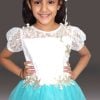 Buy Frozen Princess Elsa Dress in India - Frozen Elsa Themed Dress