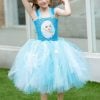 Little Princess Frozen Elsa Birthday Party Wear Tutu Dress