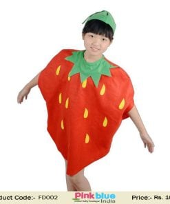 strawberry kids fruit costume