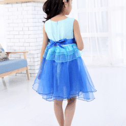 baby partywear dress