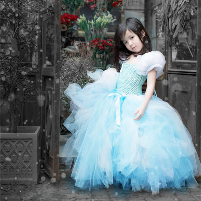 Little Princess Cinderella Tutu Tulle Dress costume