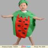 watermelon fruit fancy dress