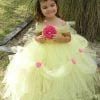 Baby Flower girl Birthday Party DressTutu Style 2017 - Online Tutu Boutique