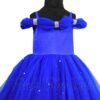 princess-cinderella-theme-birthday-party-dress
