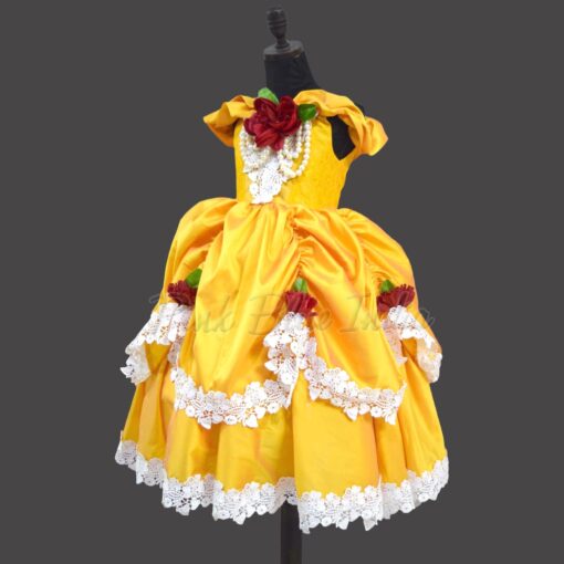 belle-princess-birthday-party-dress-for-girl