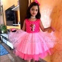 Paw Patrol Skye Dress