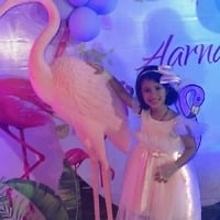 pink-long-western-dress