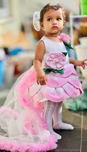 Girls Lotus Theme Dress Designer Party Wear Outfit Pink Blue India