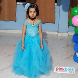 Princess Cinderella Tutu Dress