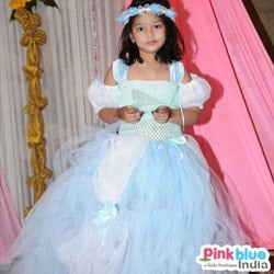 Cinderella Party Tutu Dress